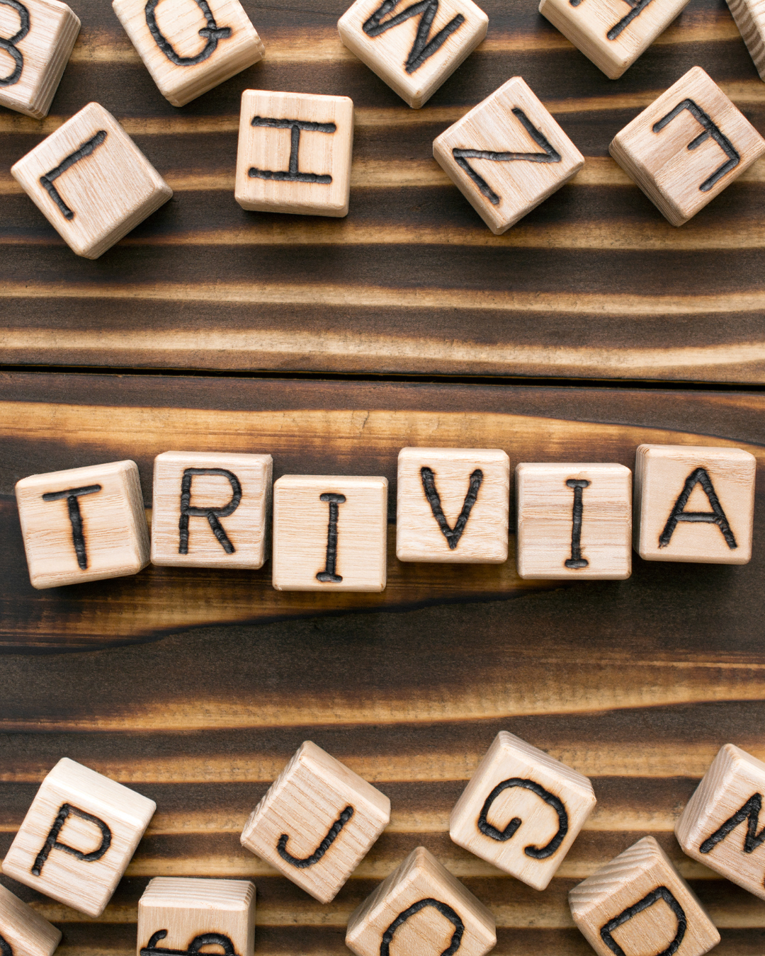 Bring the Fun: Trivia & Card Games That Everyone Will Love