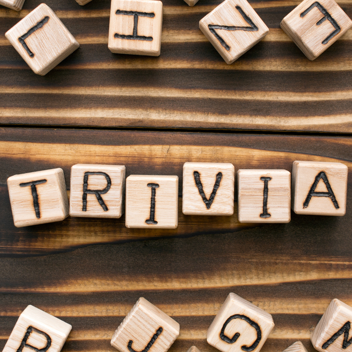 Bring the Fun: Trivia & Card Games That Everyone Will Love