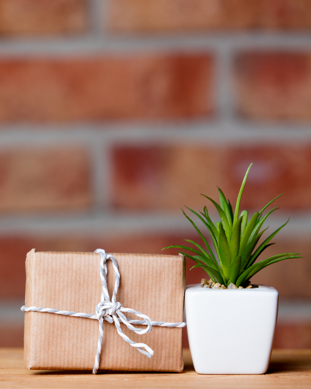 Gifts for Plant Lovers: Green Thumb Essentials and Botanical-inspired Presents