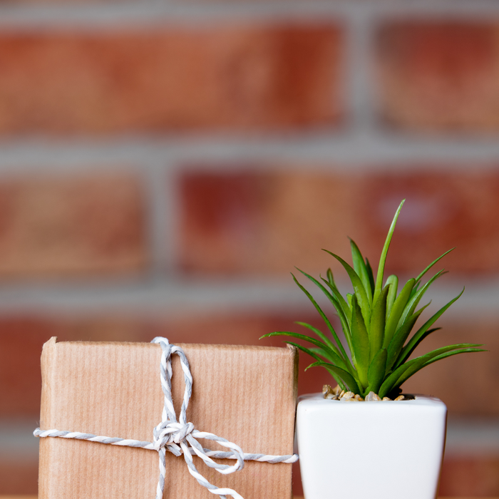 Gifts for Plant Lovers: Green Thumb Essentials and Botanical-inspired Presents