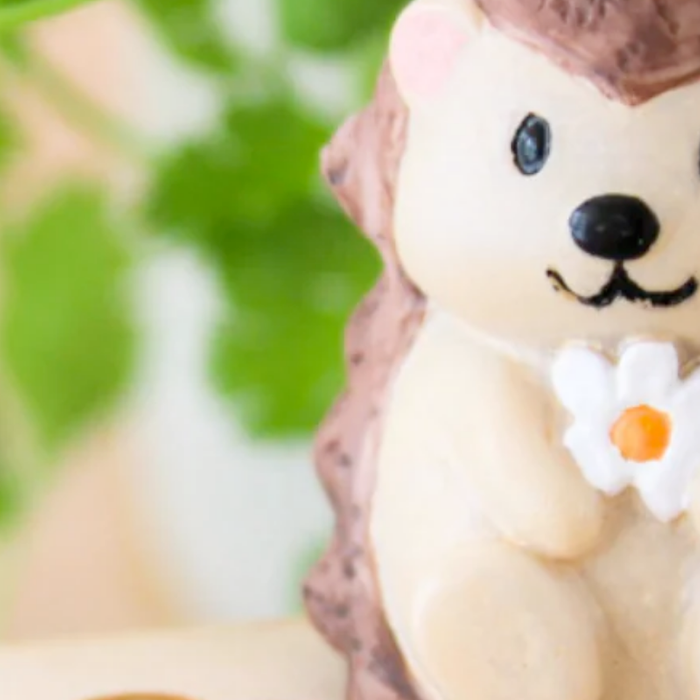 National Friendship Day: Thoughtful Gifting