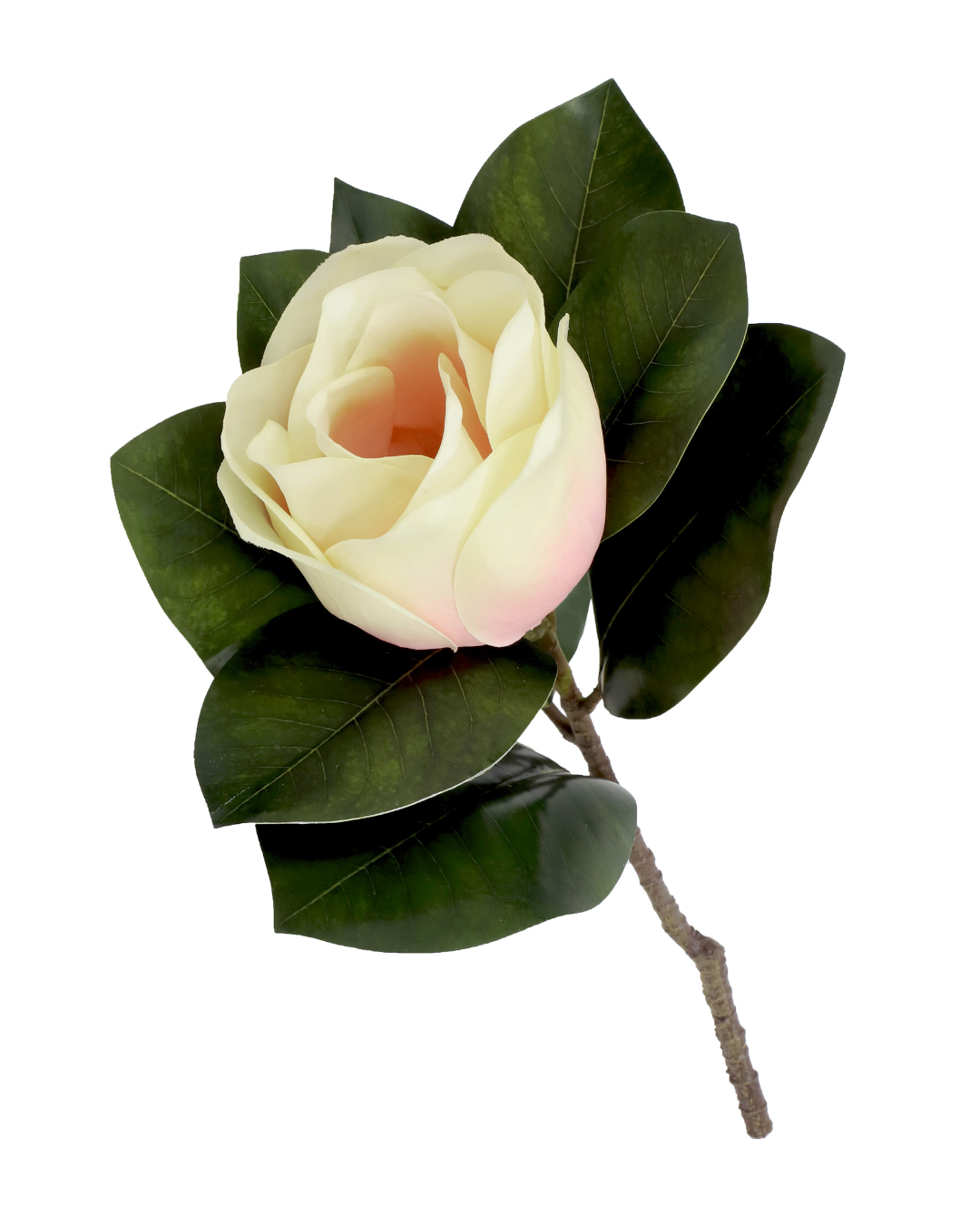 Simone Poly Magnolia Spray Cream/Pink