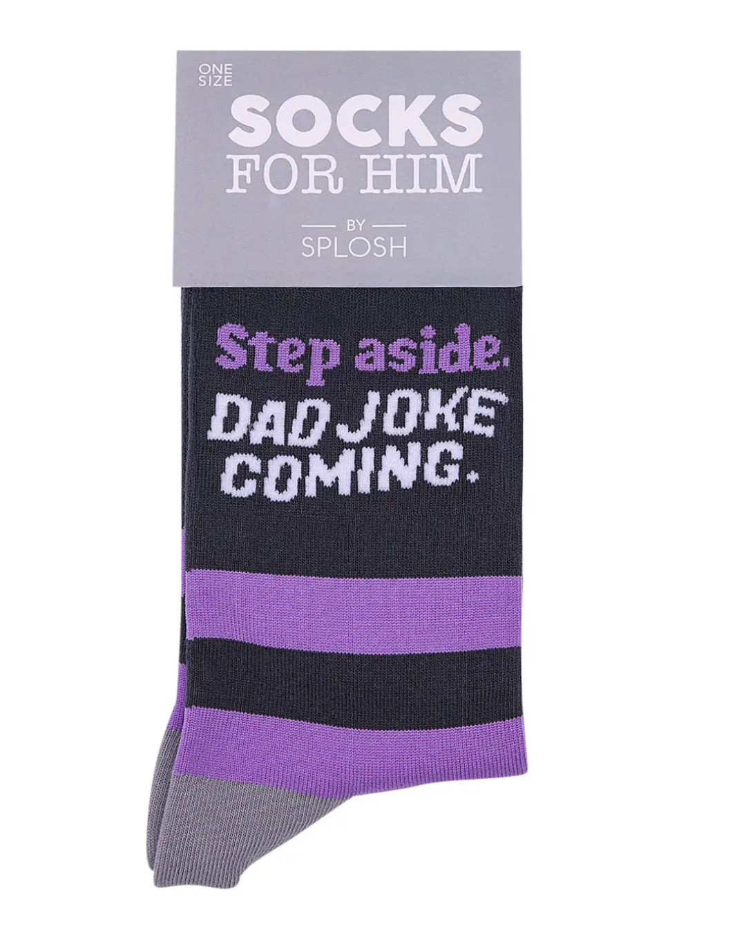 Dad Joke Socks