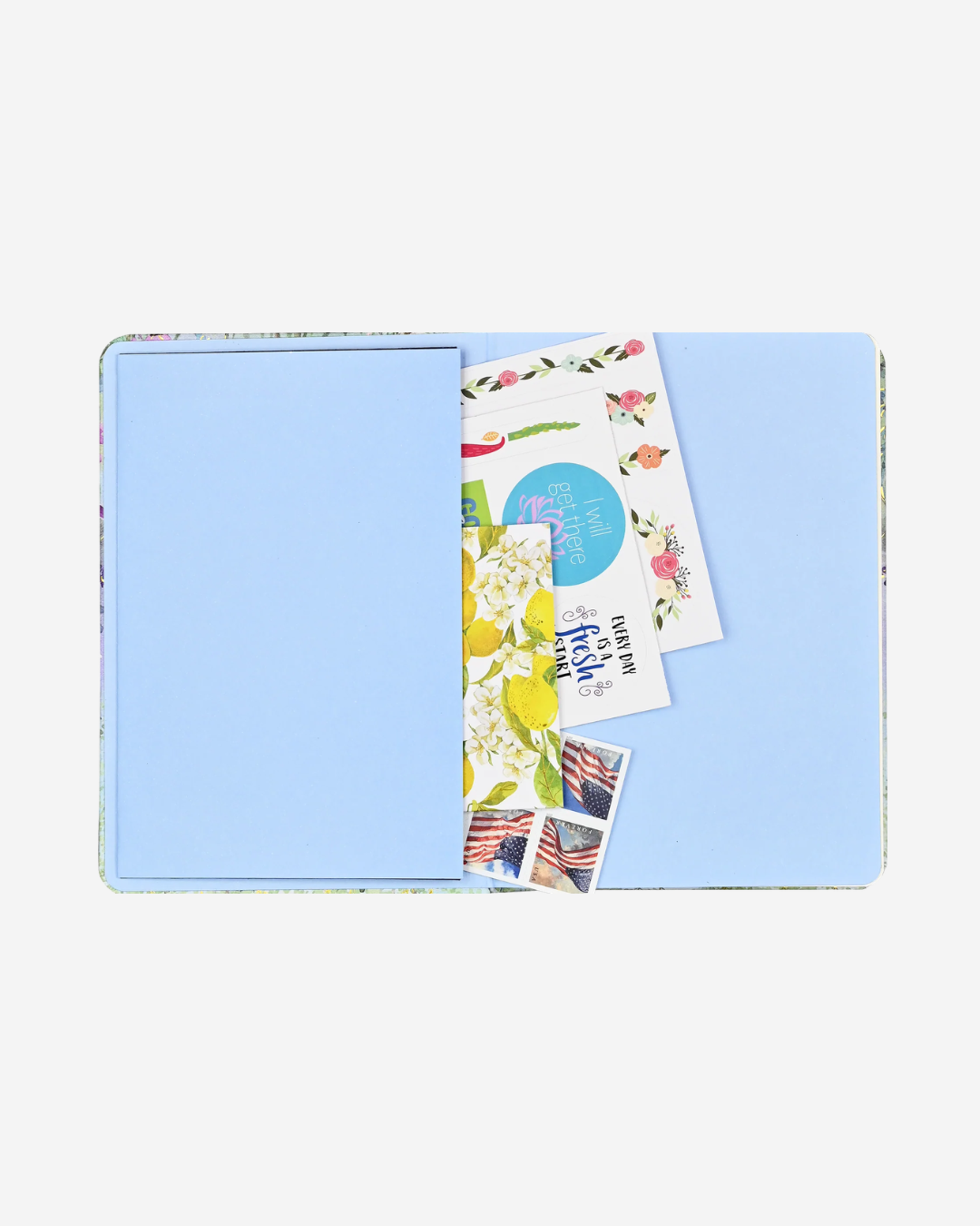 Dragonflies & Dandelions Small Journal