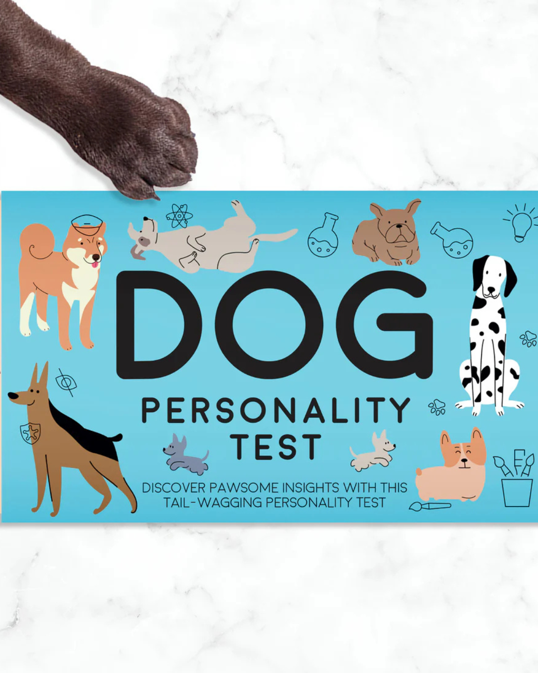 Dog Personality Test