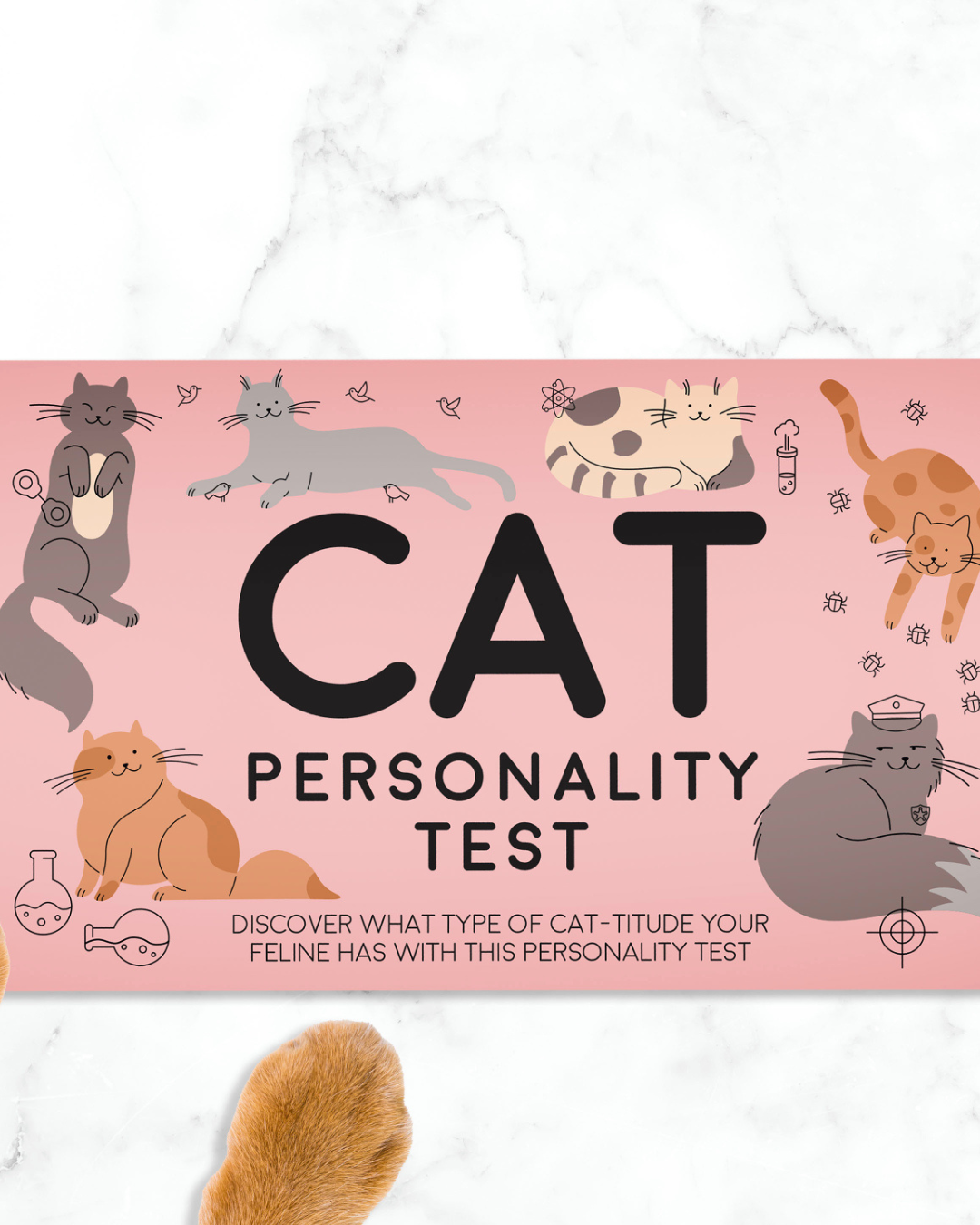 Cat Personality Test