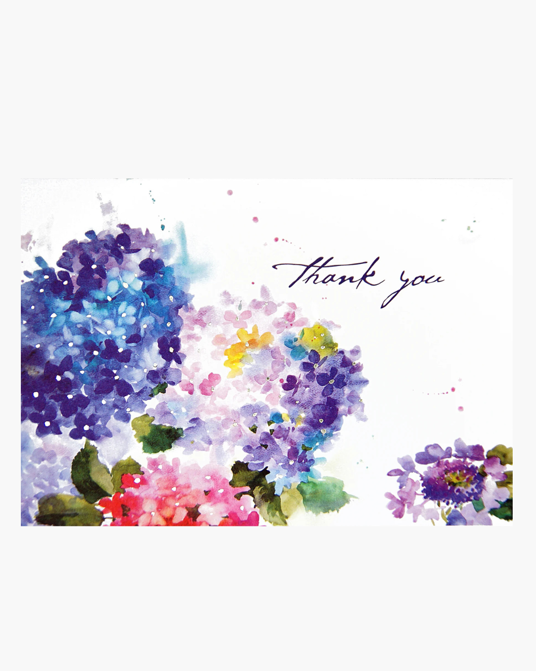 Hydrangeas - Thank You Notes