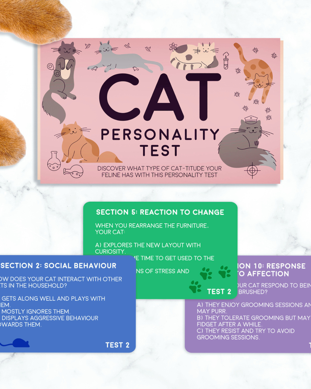 Cat Personality Test