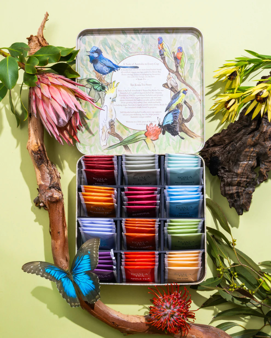 Discovery Premium Koala Tea Gift Tin