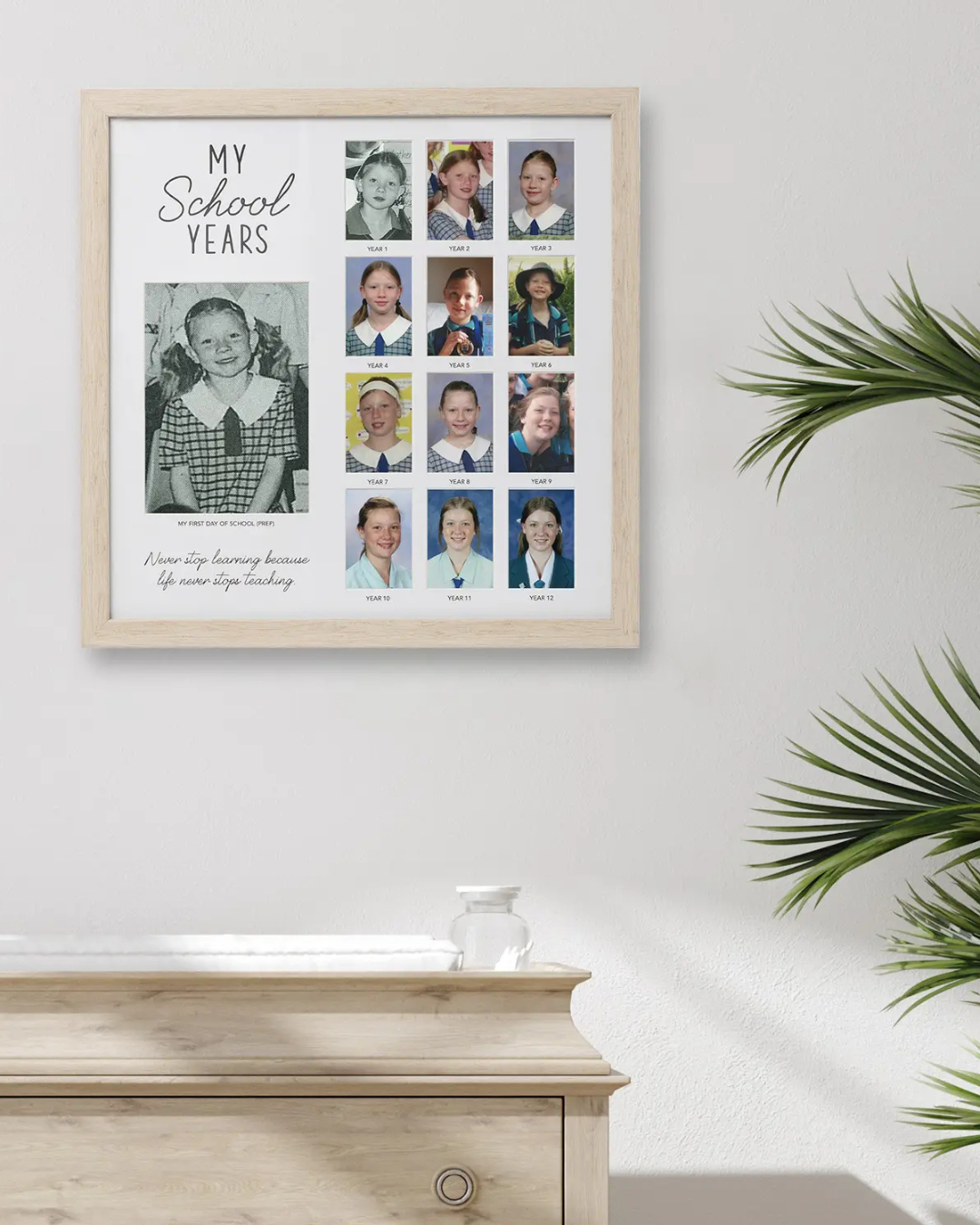 School Years Frame