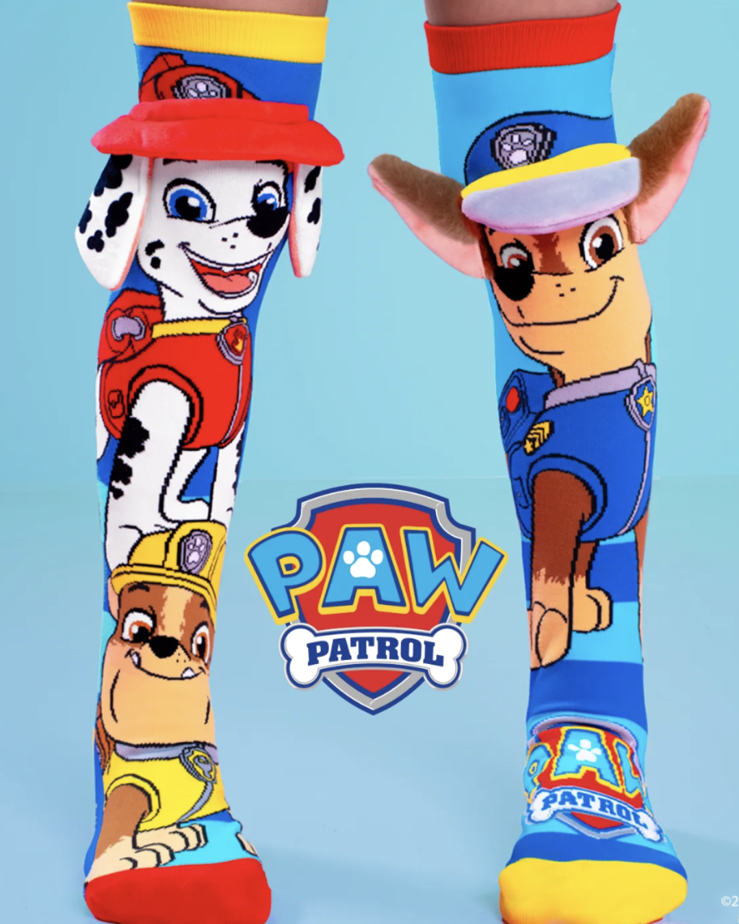 Paw Patrol Chase Socks