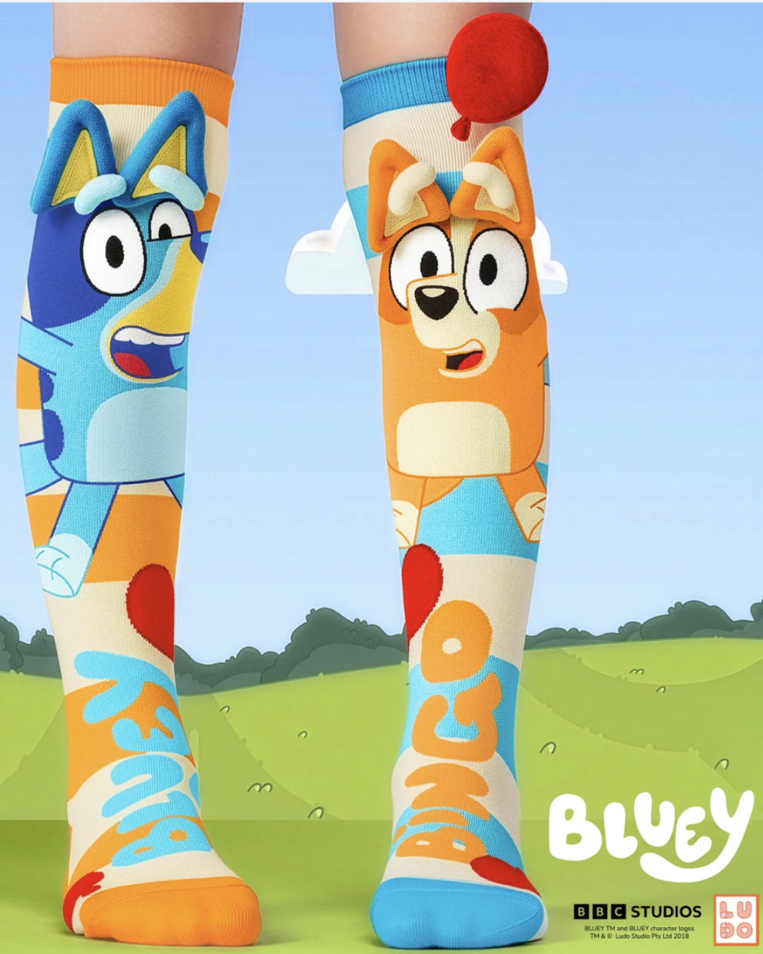 Bluey Socks