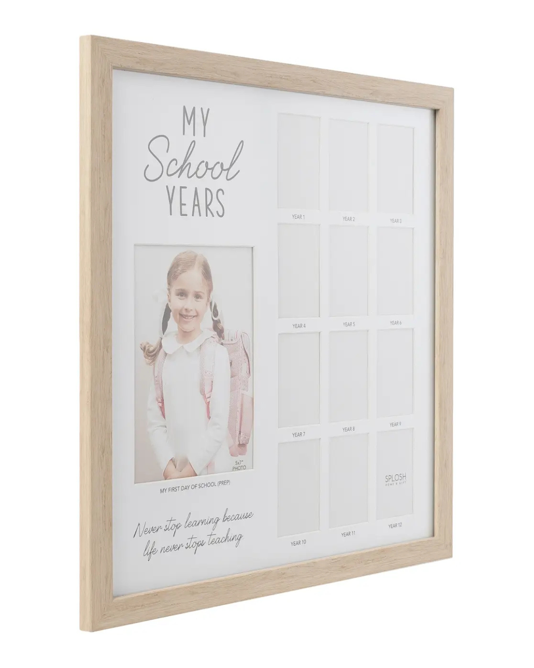 School Years Frame