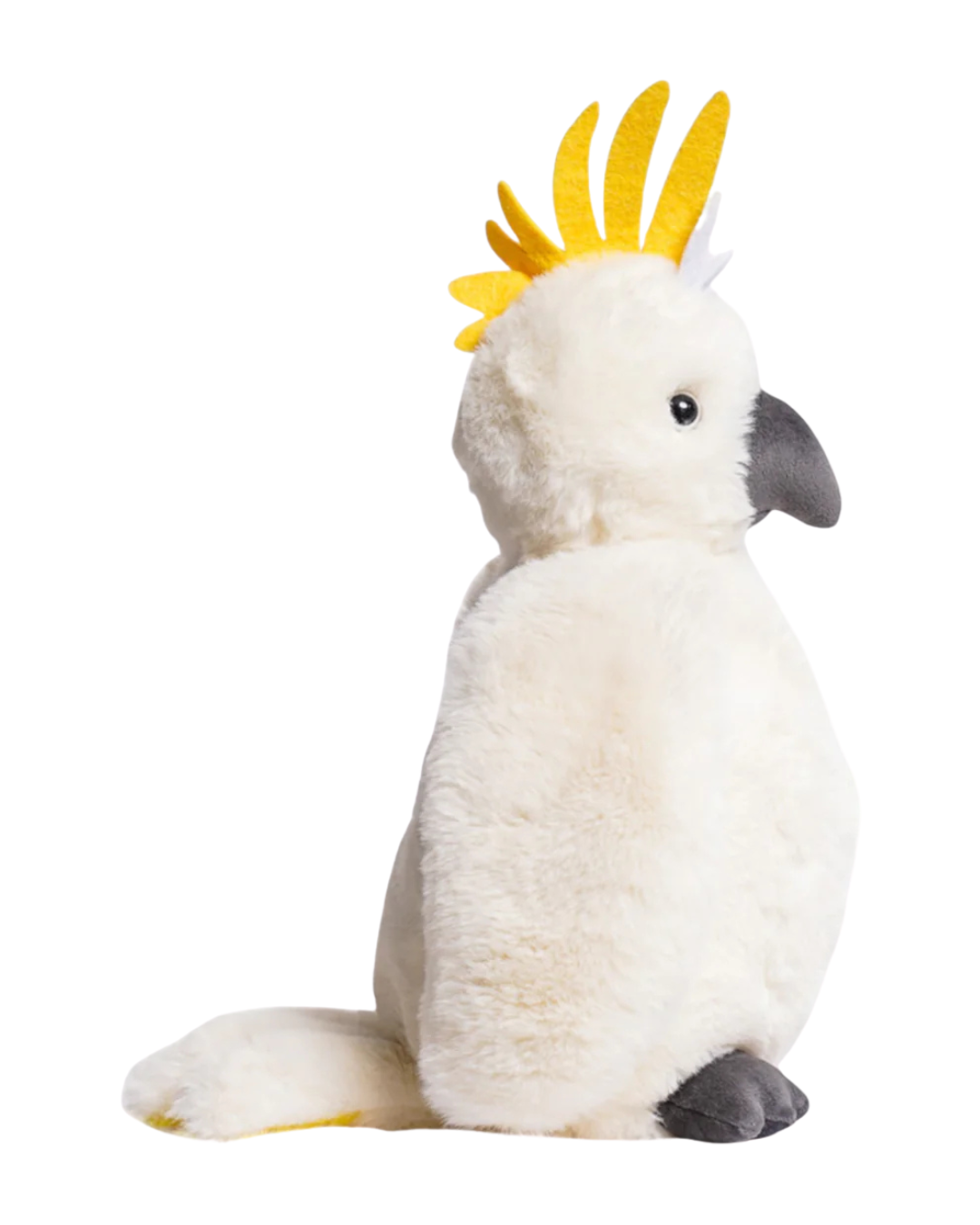 Cockatoo