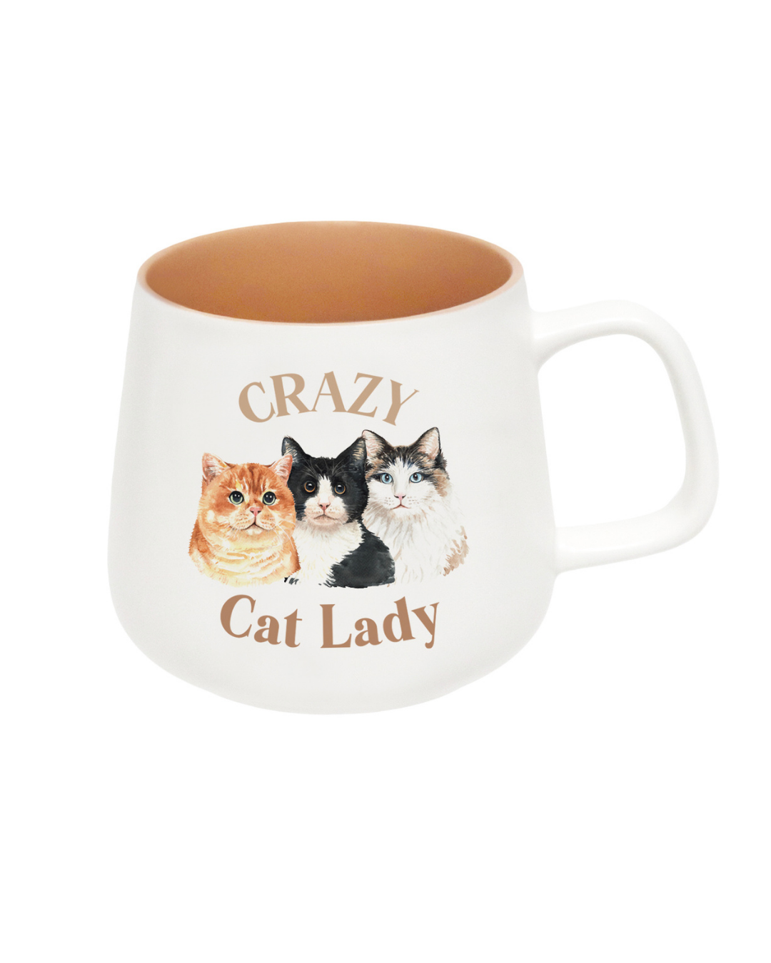 I Love My Crazy Cat Lady Mug
