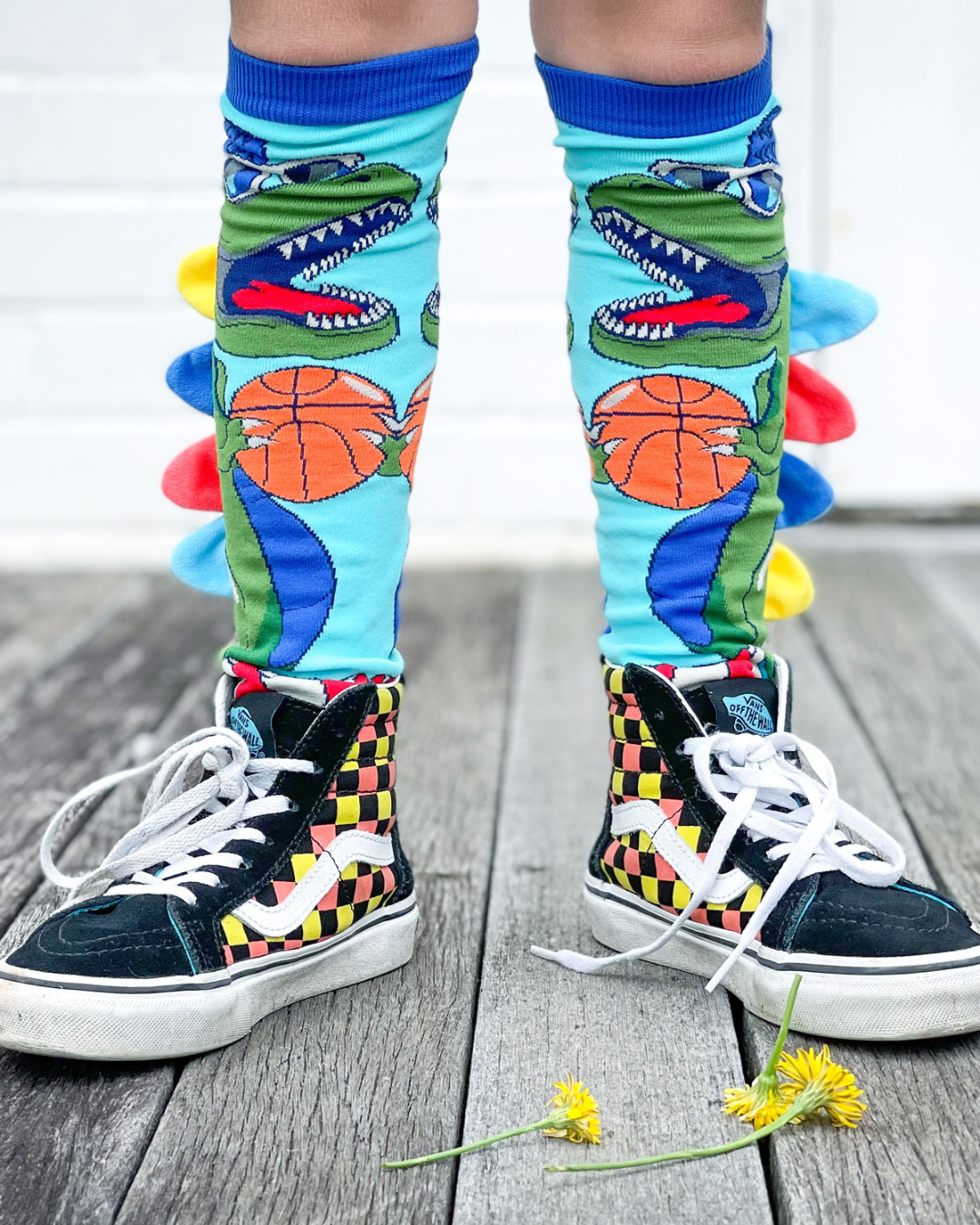 Dinosaur Socks