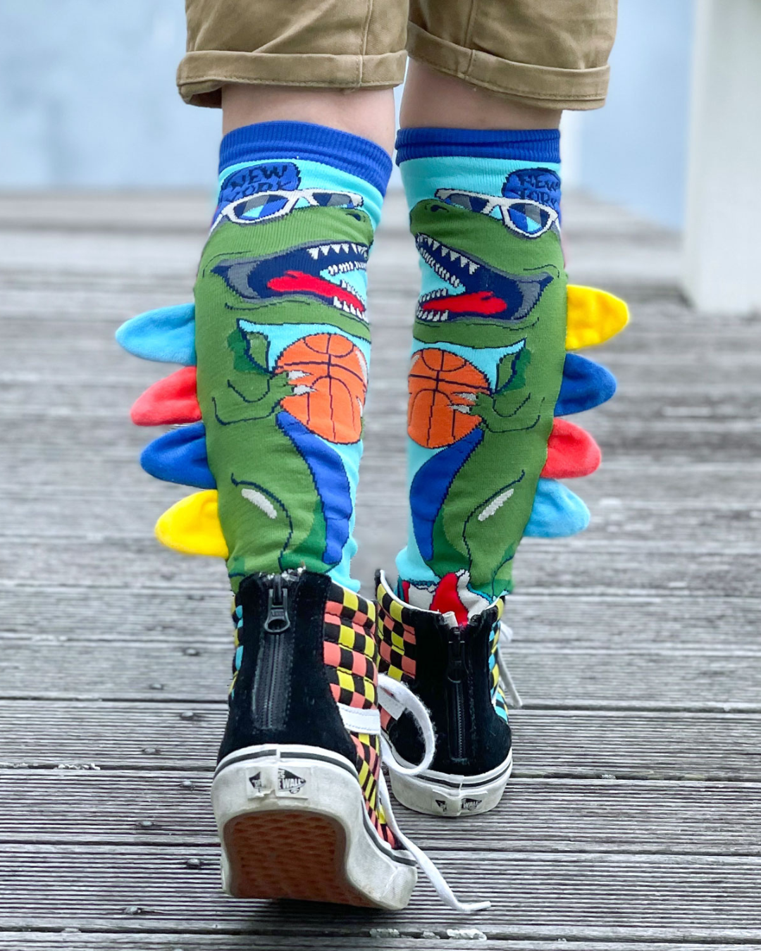 Dinosaur Socks
