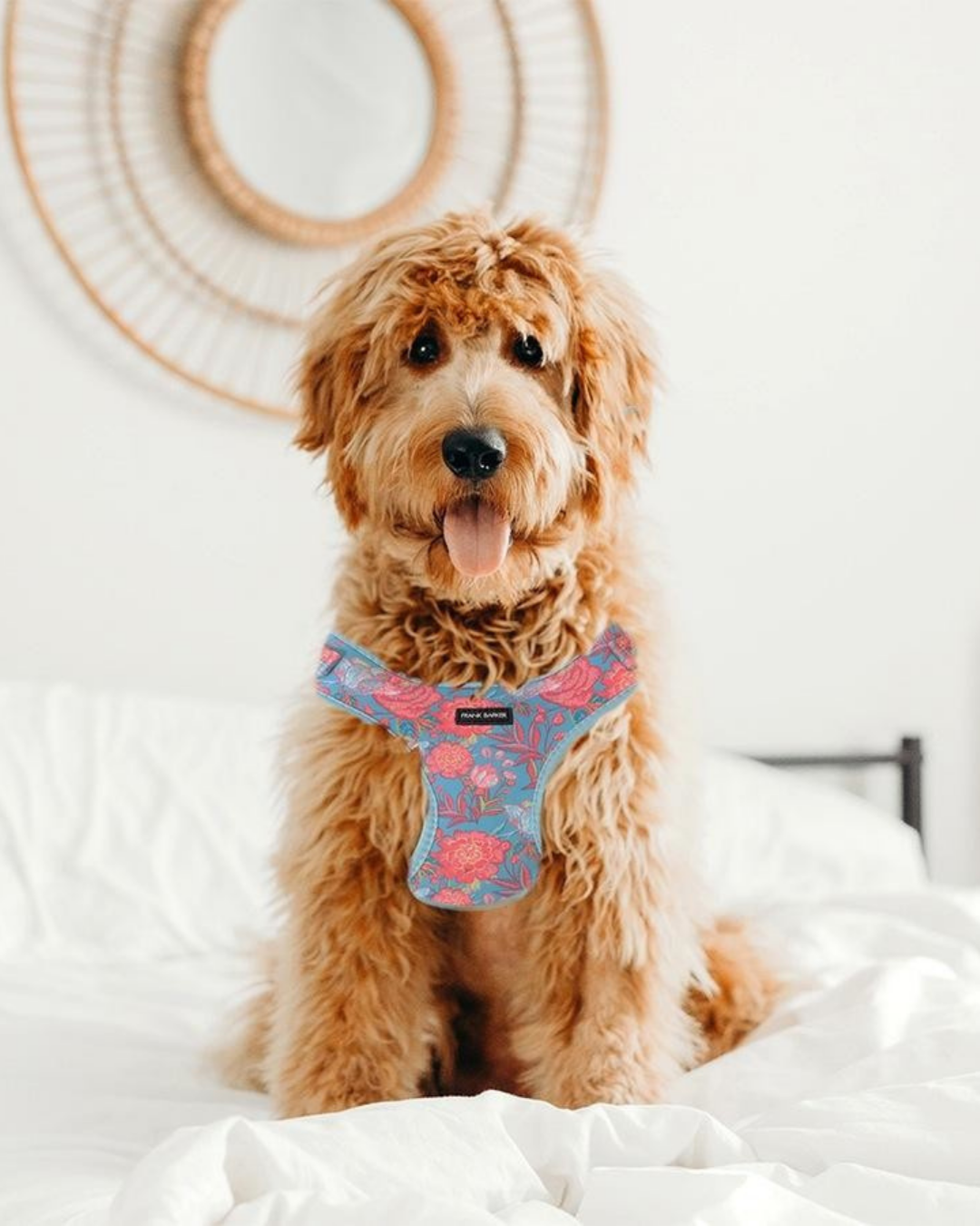 Frank Barker Floral Harness