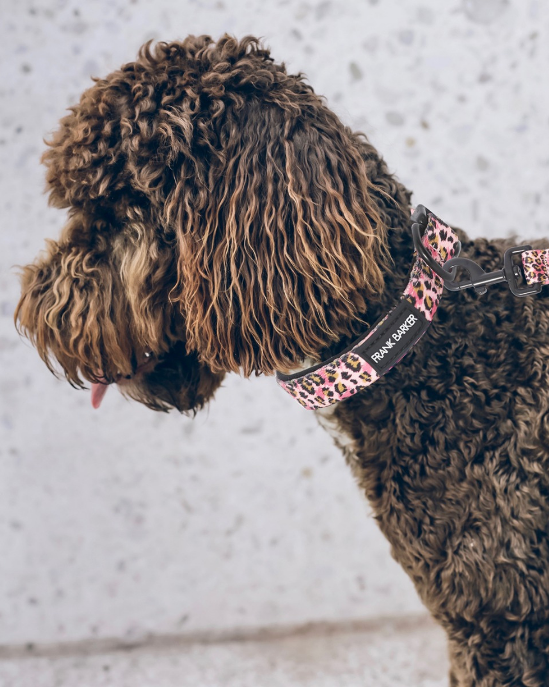 Frank Barker Leopard Collar