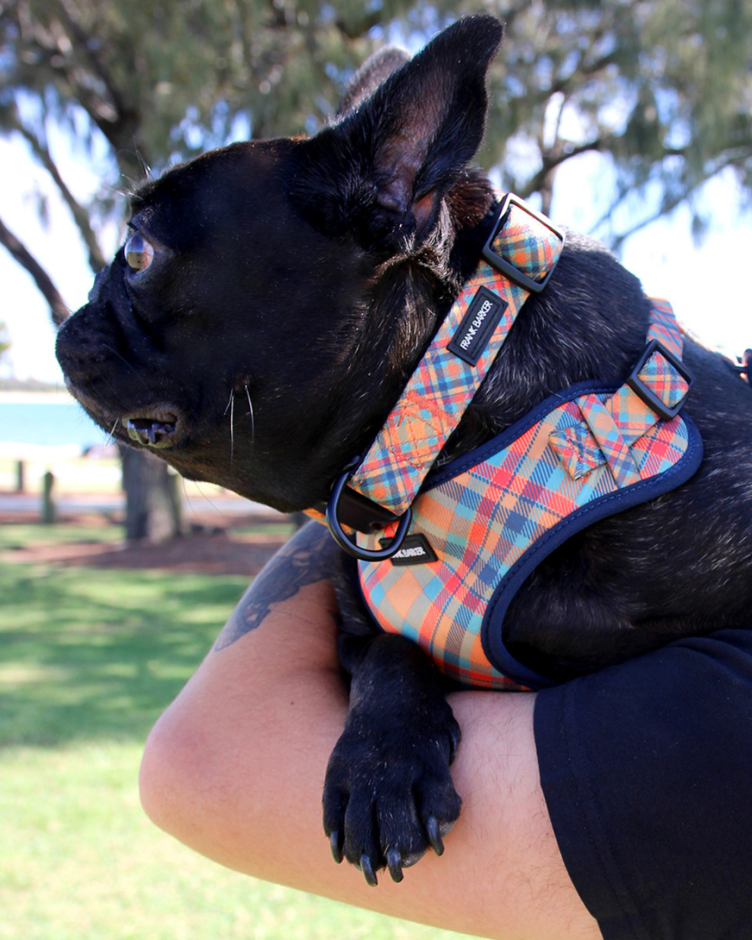 Frank Barker Orange Plaid Collar