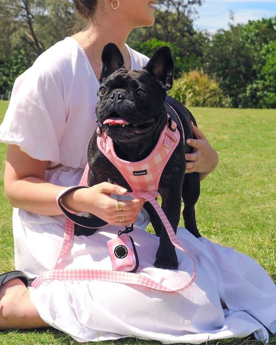 Frank Barker Pink Gingham Harness