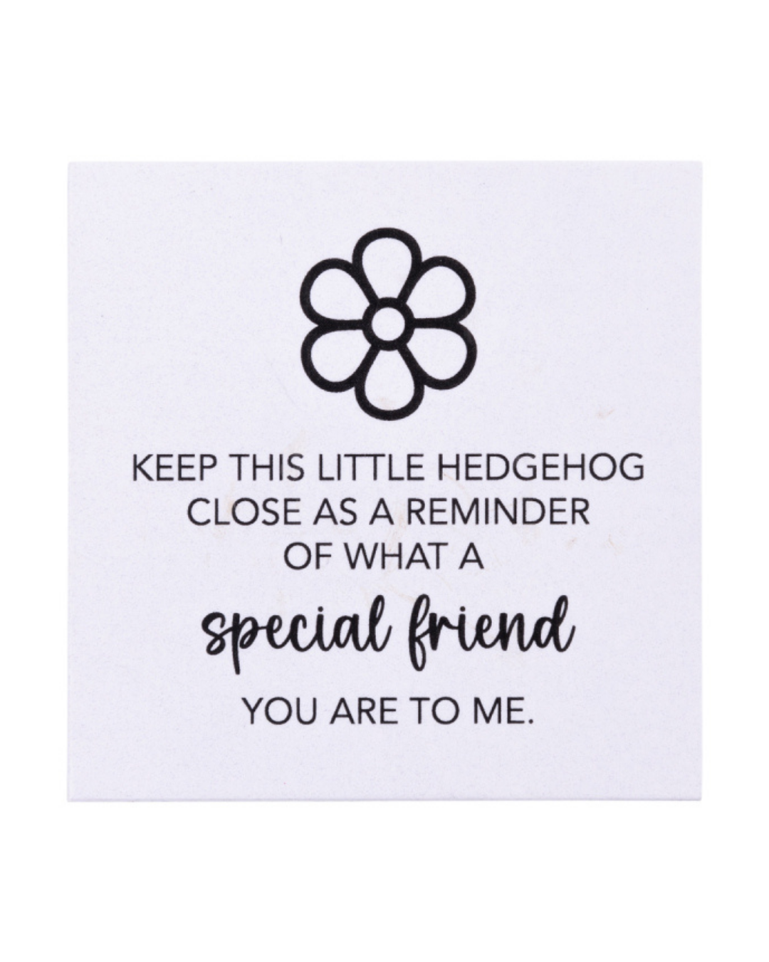 Friends Pocket Promise