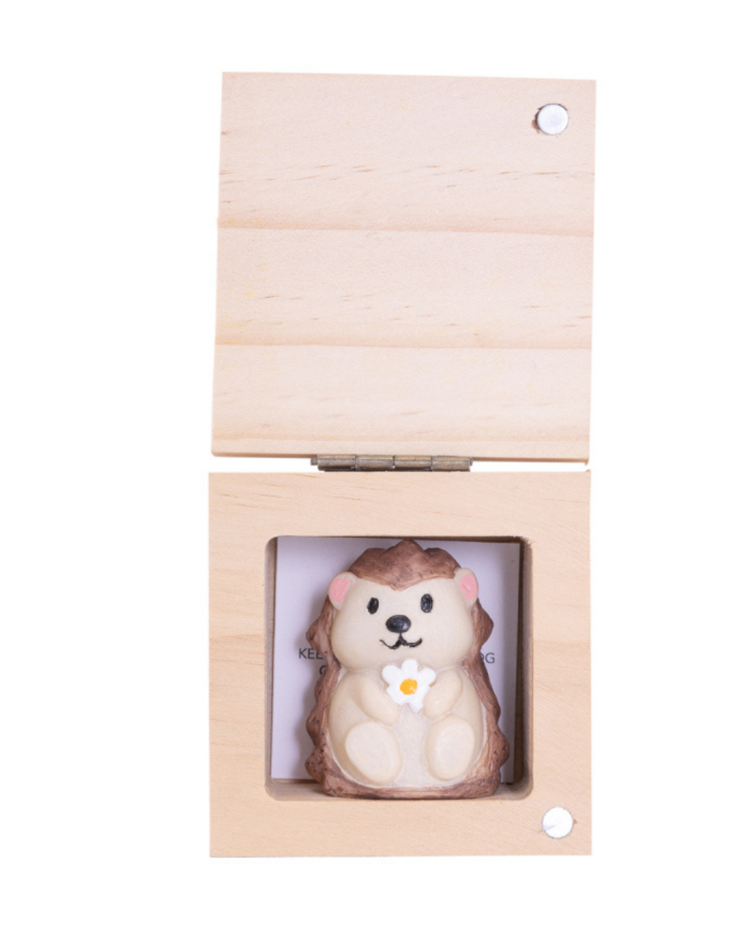 Friends Pocket Promise