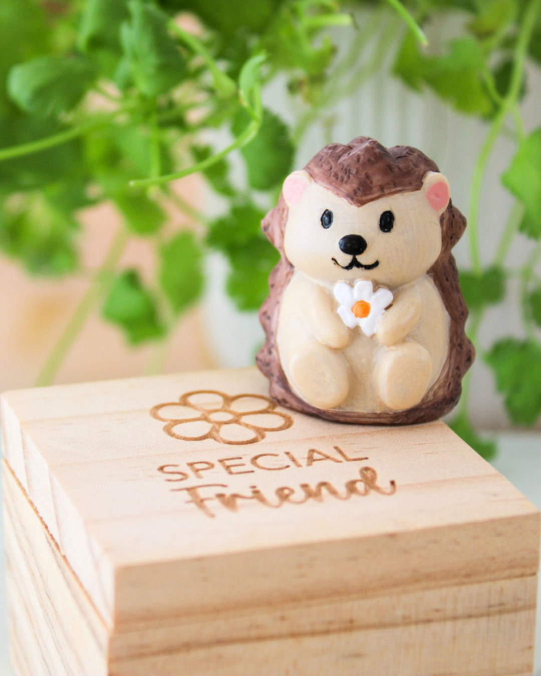 Friends Pocket Promise