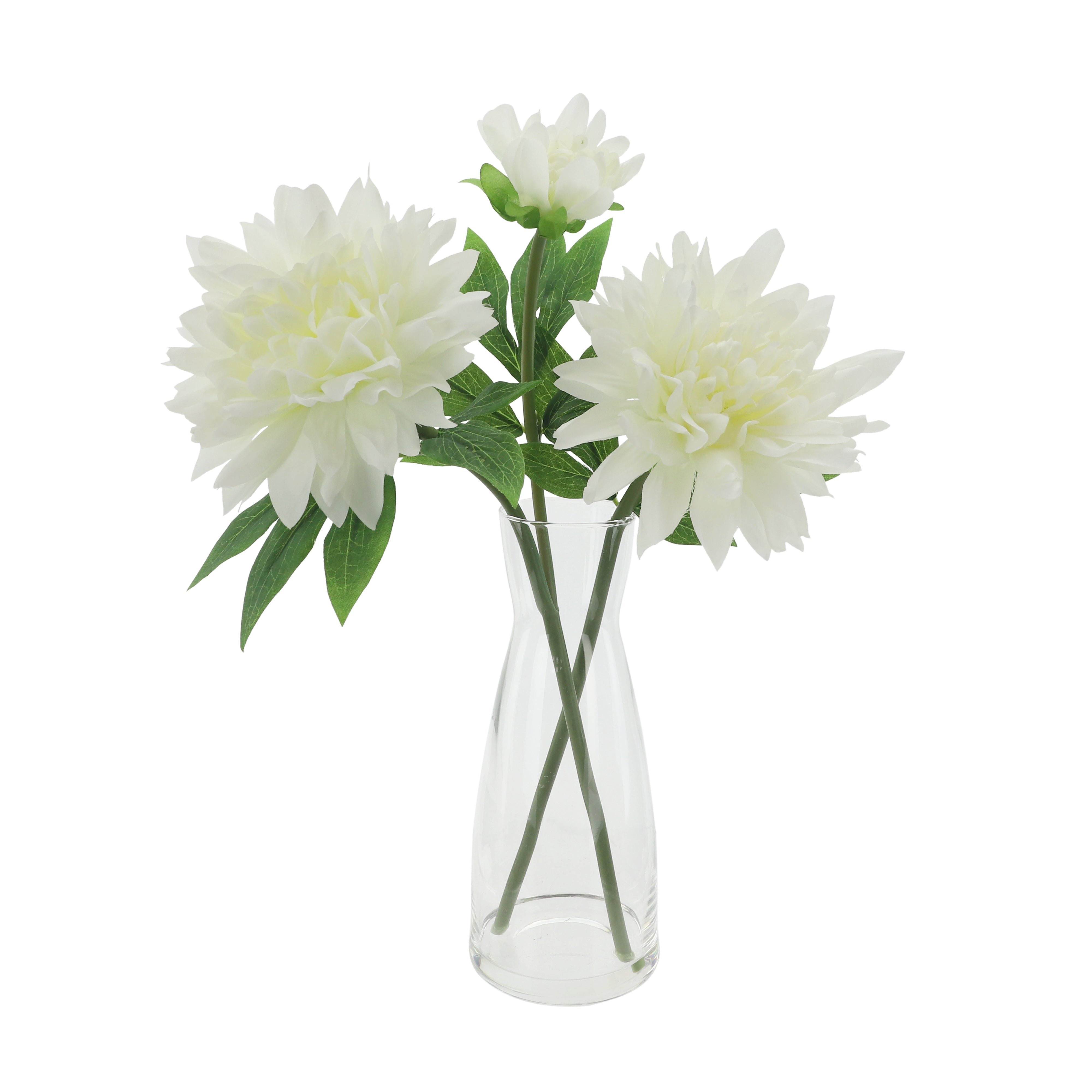 Gloria White Chrysanthemum in Glass