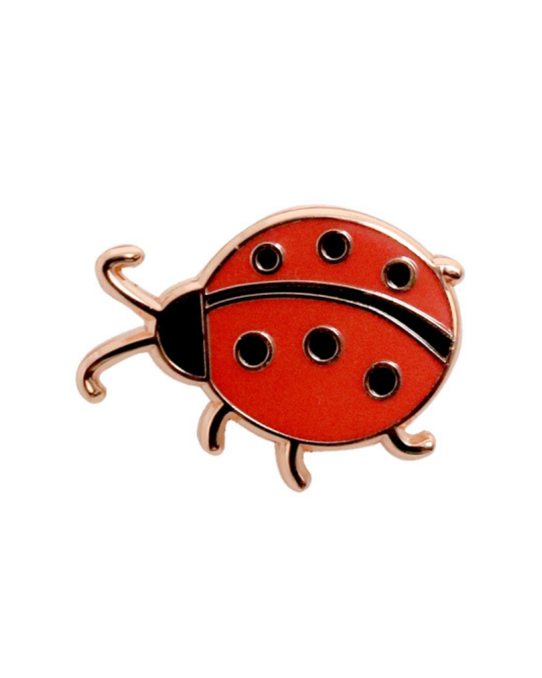 Good Luck Keepsake Pin