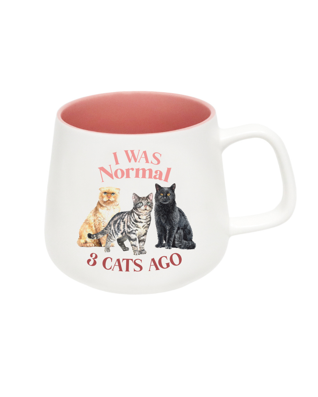 I Love My Normal Mug
