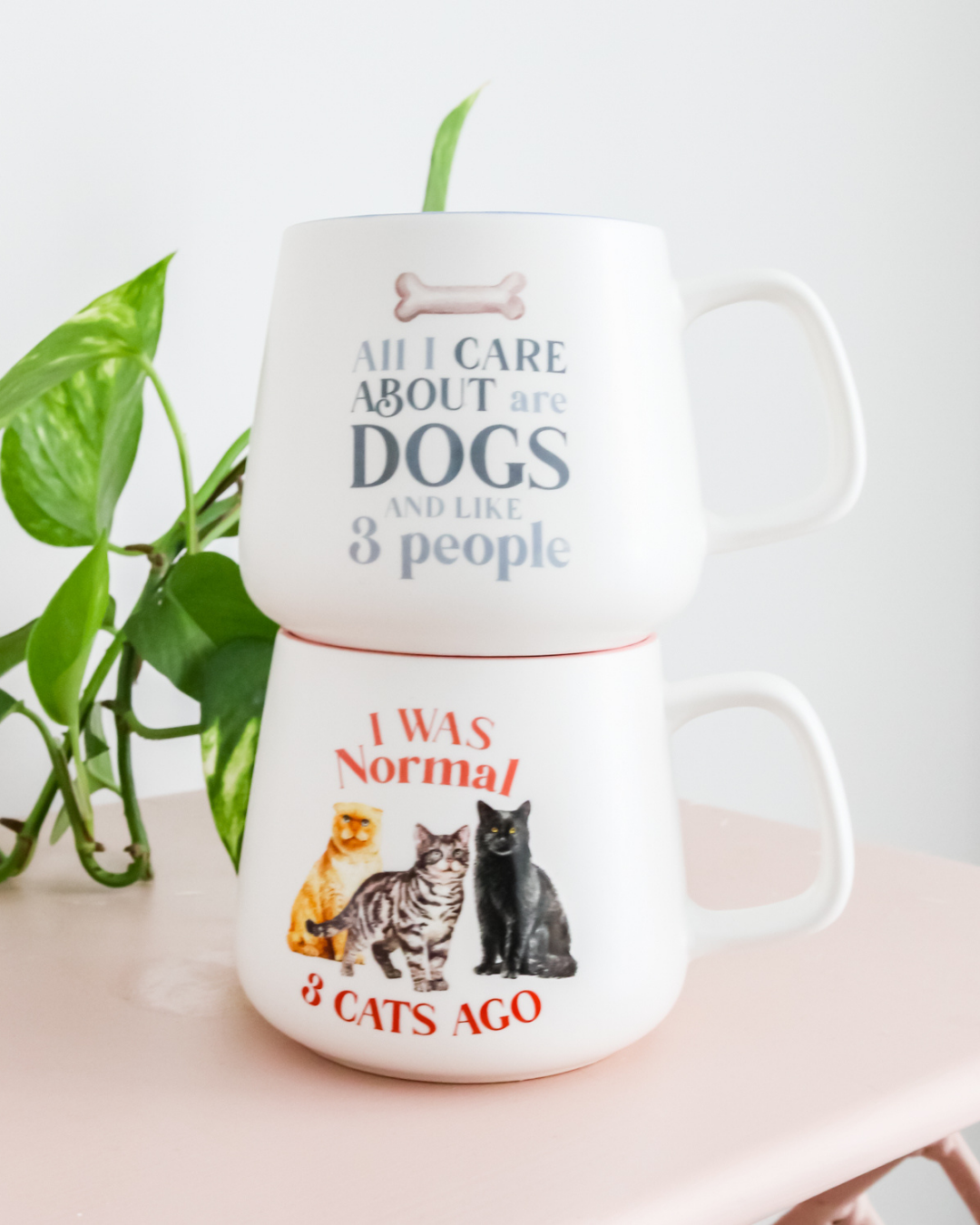 I Love My Normal Mug