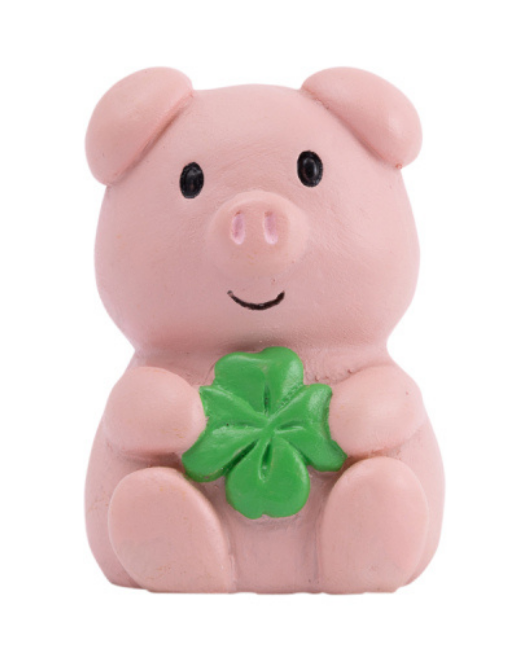 Luck Pocket Promise