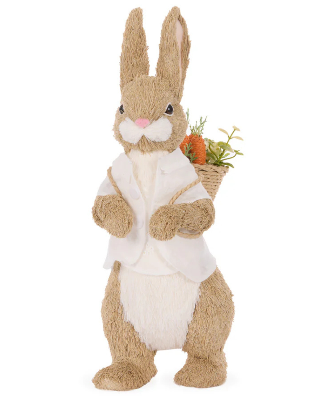 Mr Daisy with Carrots