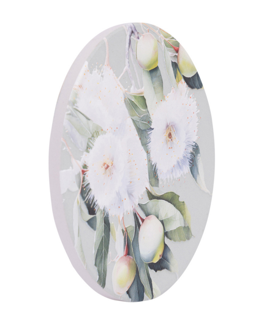 Native Blooms Gumnuts Ceramic Coaster