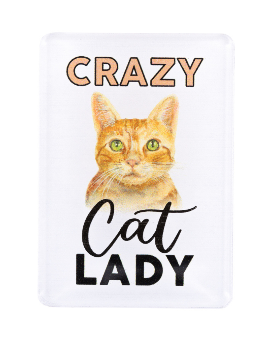 Pet Lovers Crazy Cat Lady Acrylic Magnet