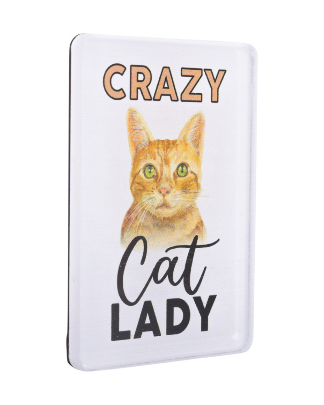 Pet Lovers Crazy Cat Lady Acrylic Magnet