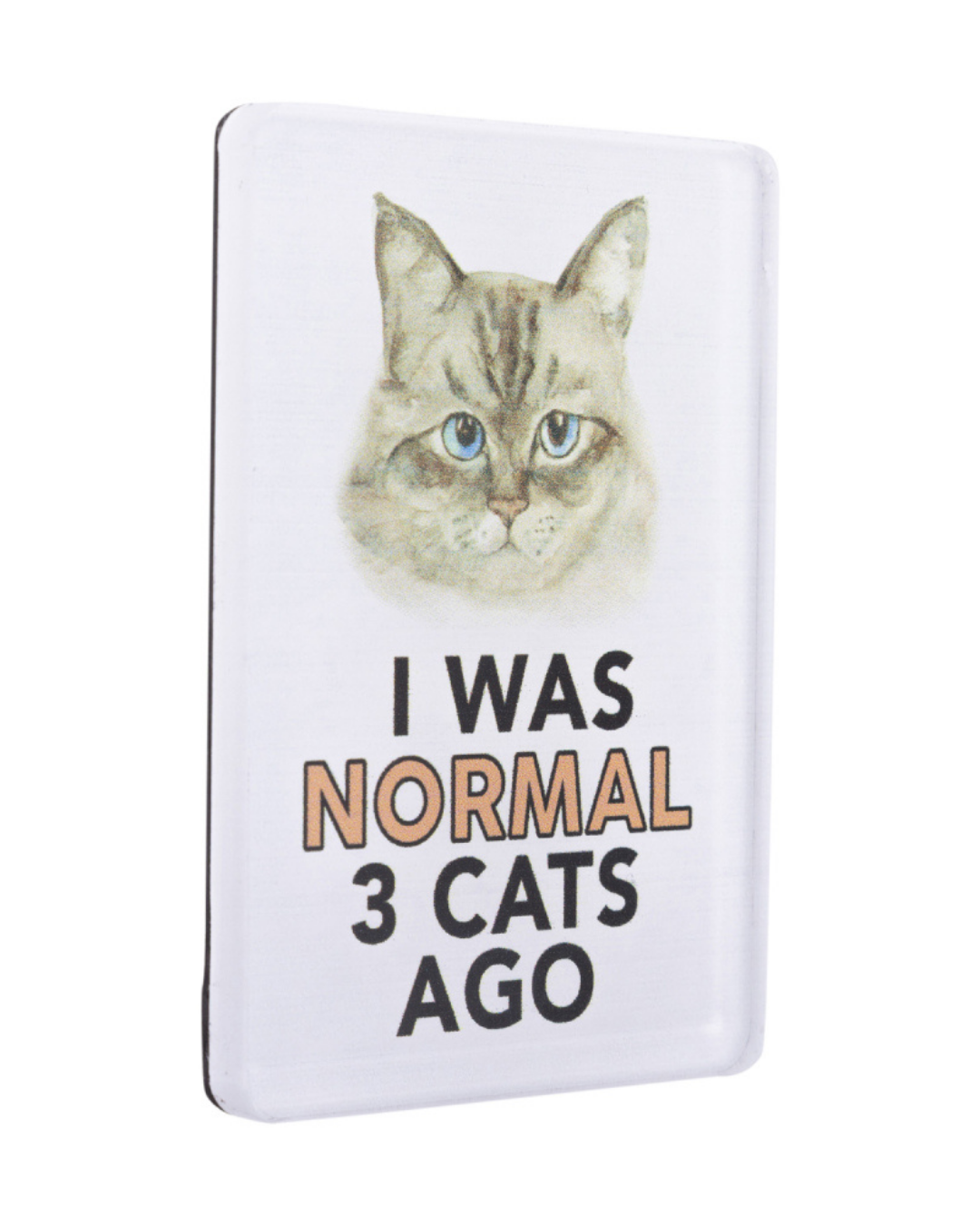Pet Lovers Normal Acrylic Magnet