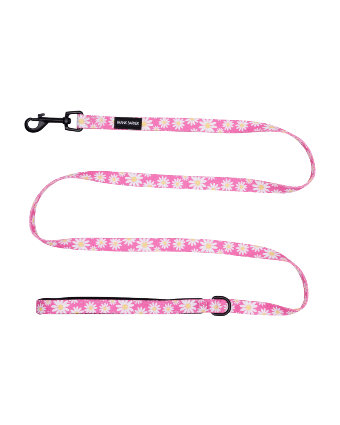 Frank Barker Pink Daisies Lead