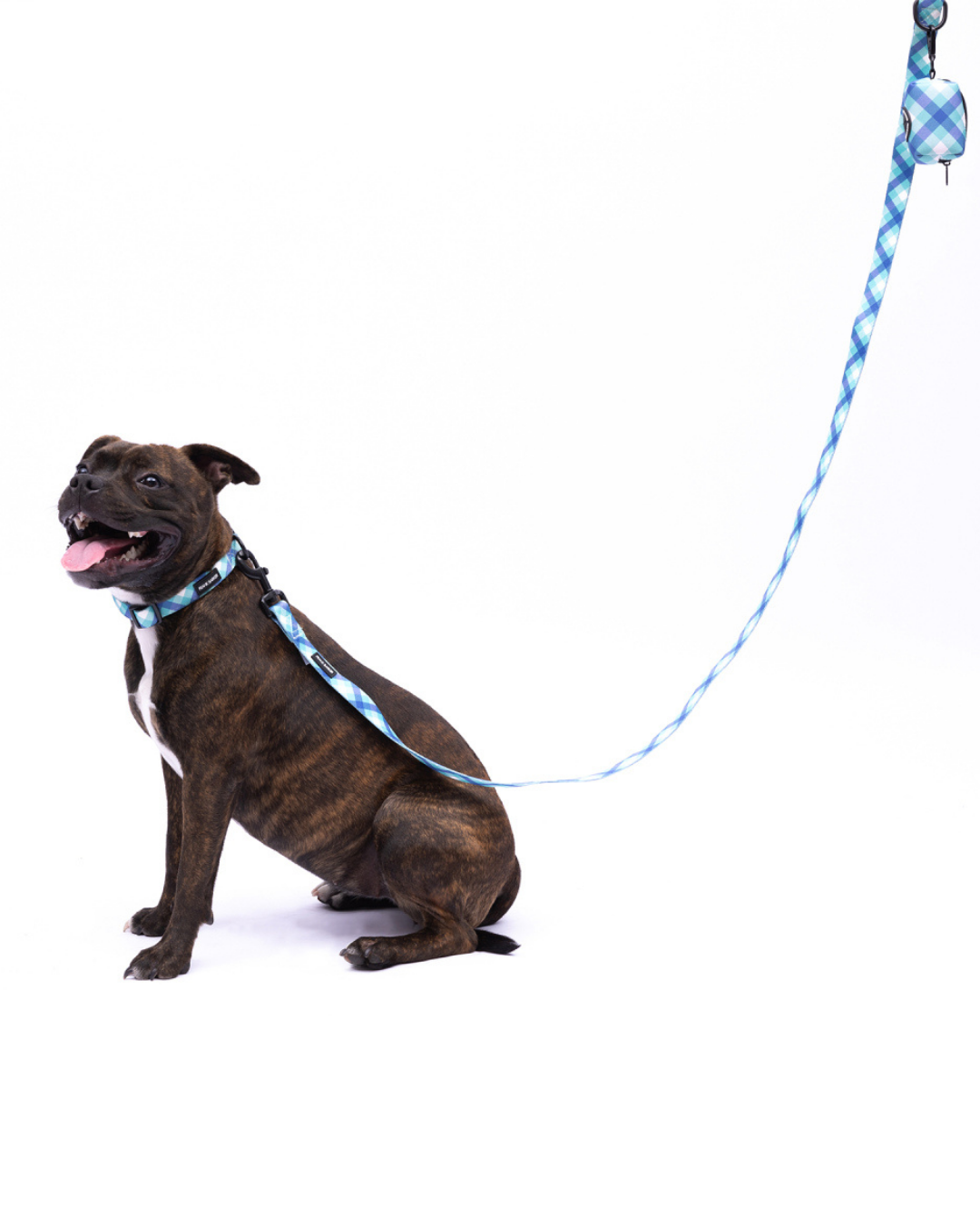 Frank Barker Teal Gingham Lead