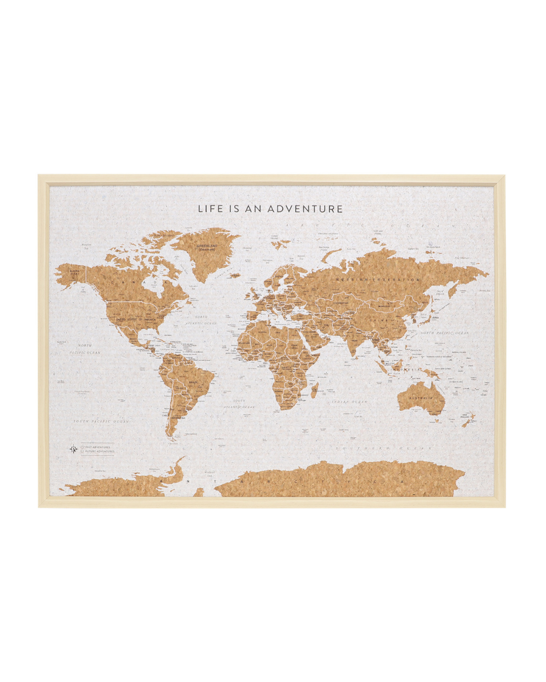 Travel Board World Map Large