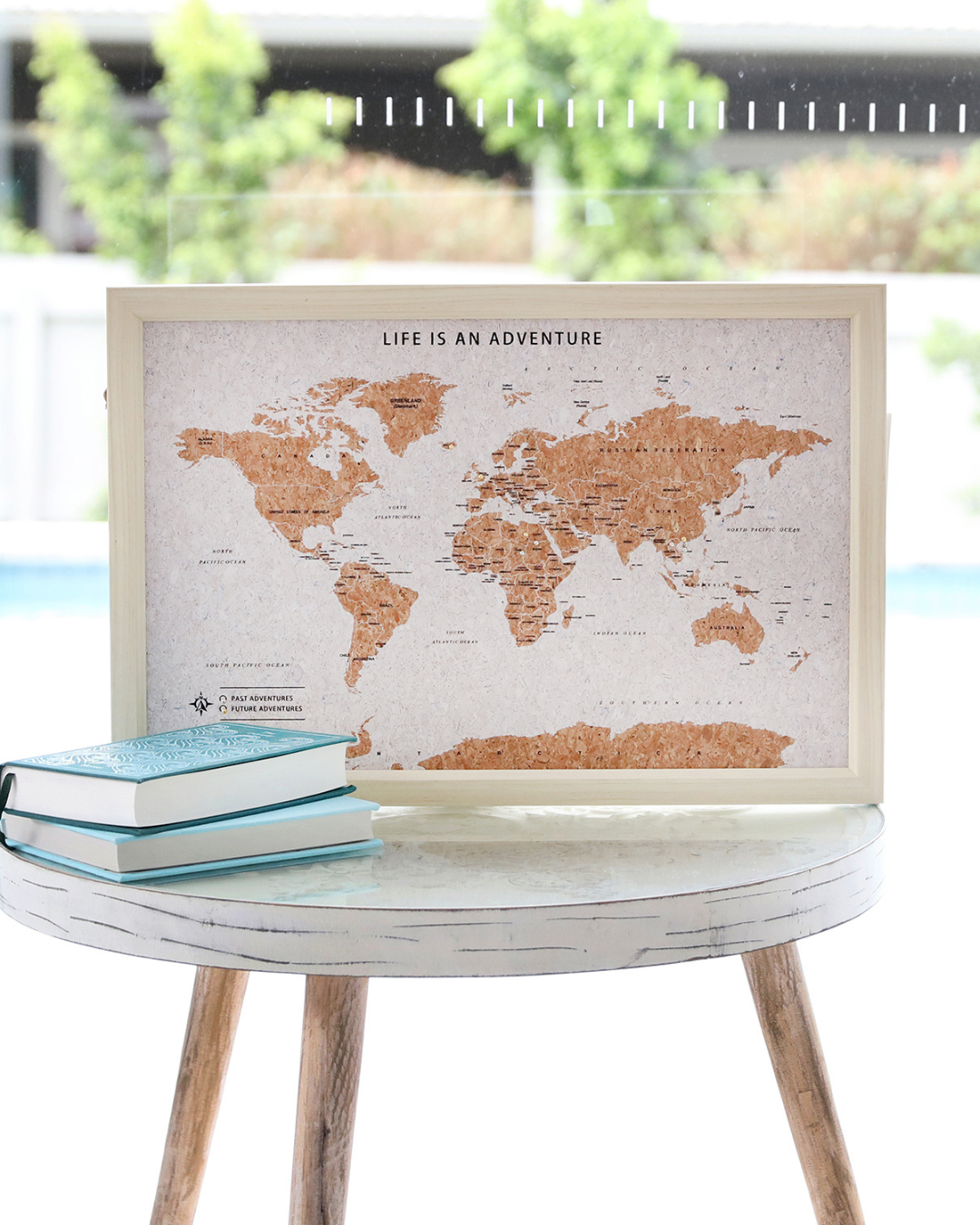Travel Board World Map Small